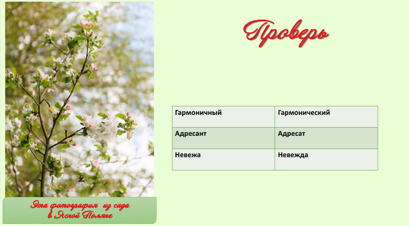 пароним весна.png пароним весна.png