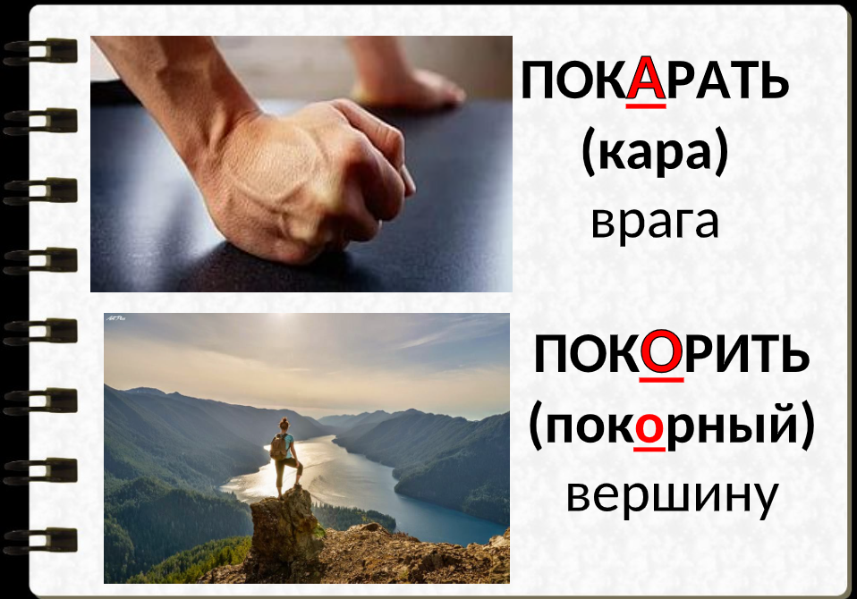 Похожие корни