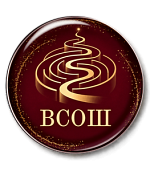 Подготовка к ВсОШ. Русский язык. 2 этап Подготовка к ВсОШ. Русский язык. 2 этап